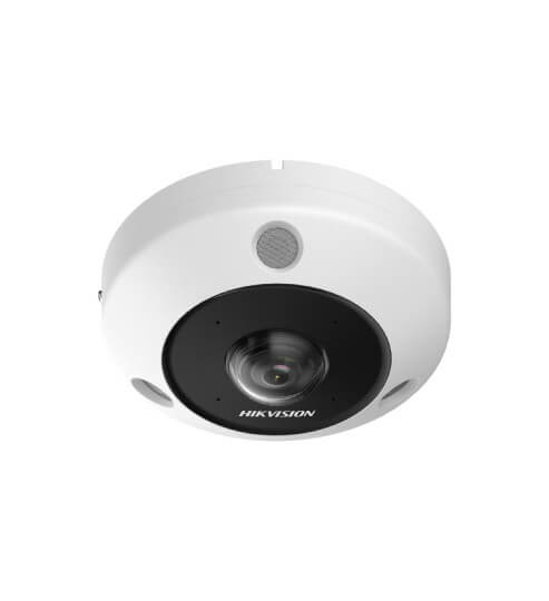 CAMARA OJO DE PEZ IP 6MP C/HEAT MAP. LENTE 1.27MM EXTERIOR (2)