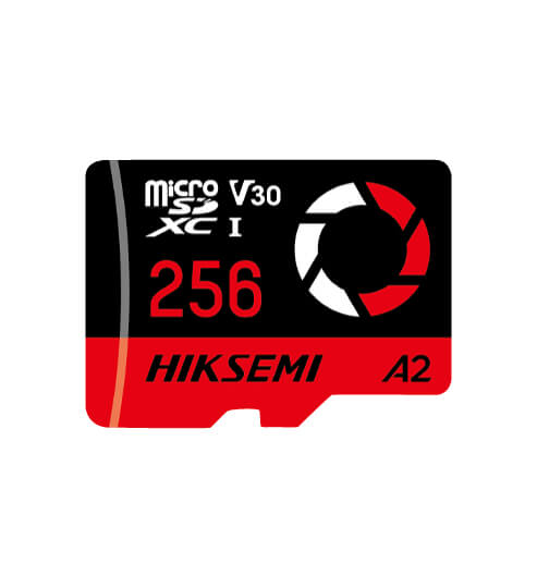 MEMORIA MICRO SD 256GB CAPTURE
